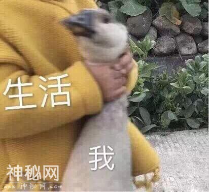 我和生活……来点鸡汤吧-6.jpg