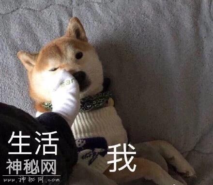 我和生活……来点鸡汤吧-8.jpg