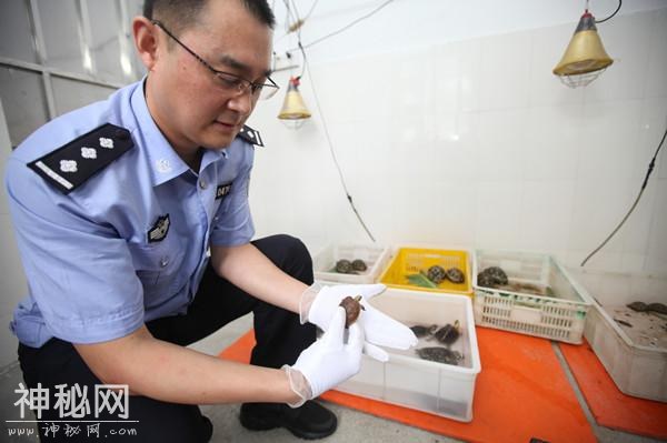 广州海关破获一宗走私活体动物入境案-1.jpg