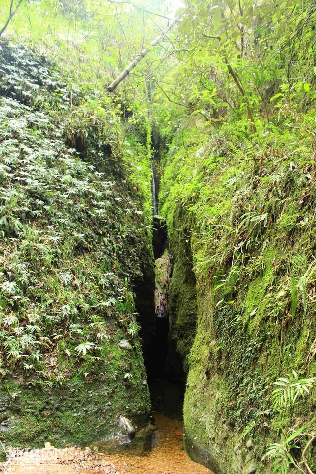 世界地质公园的样板景区，门票55元，你去过吗？-7.jpg