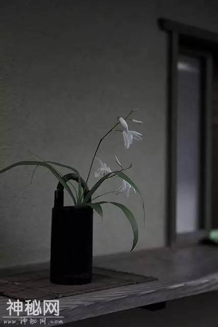 极简，最高级的审美！-21.jpg