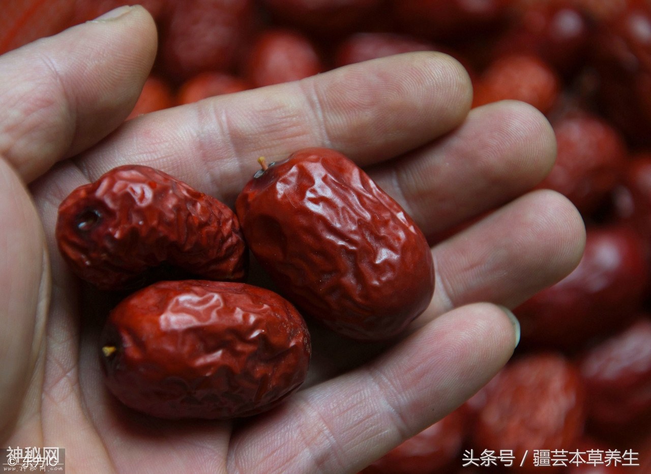 保健名膳补阴阳-4.jpg