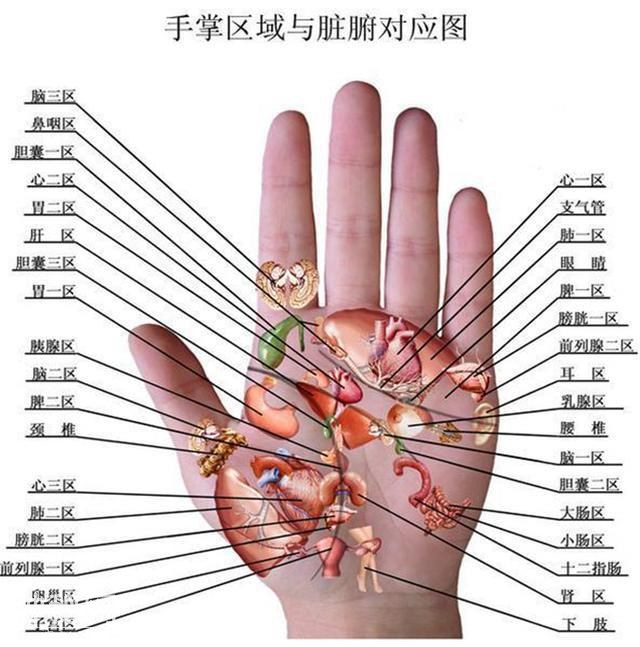 十道九医，特将手诊看病术，公布出来，一看就懂，一学就会-9.jpg