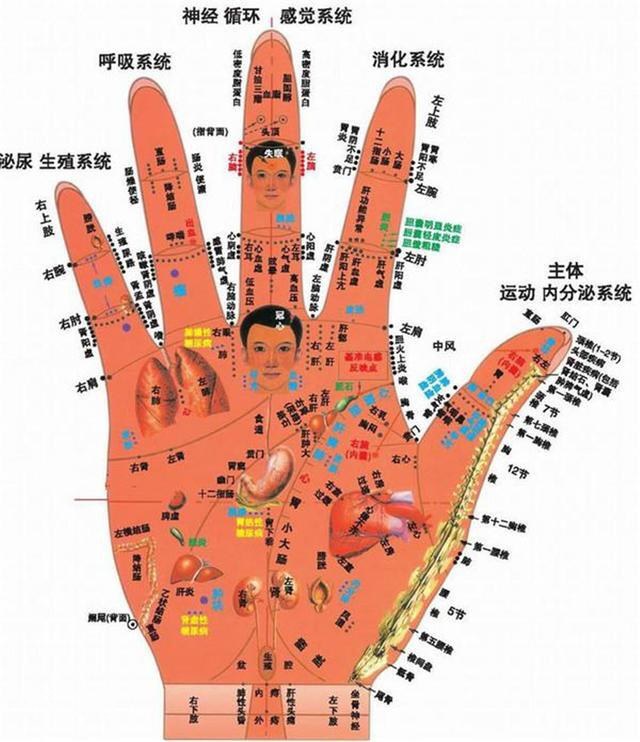 十道九医，特将手诊看病术，公布出来，一看就懂，一学就会-3.jpg