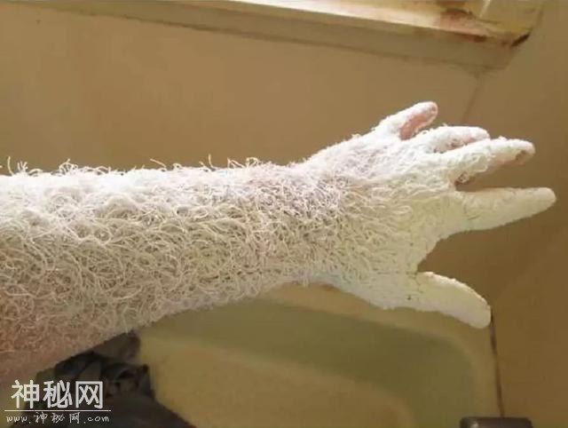 23张不可思议的照片，竟然不是PS的！-1.jpg
