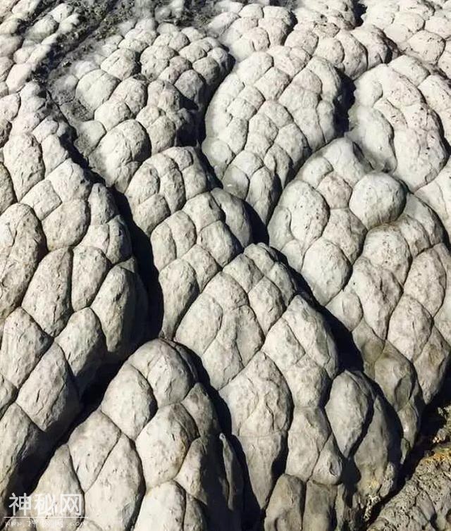 23张不可思议的照片，竟然不是PS的！-4.jpg