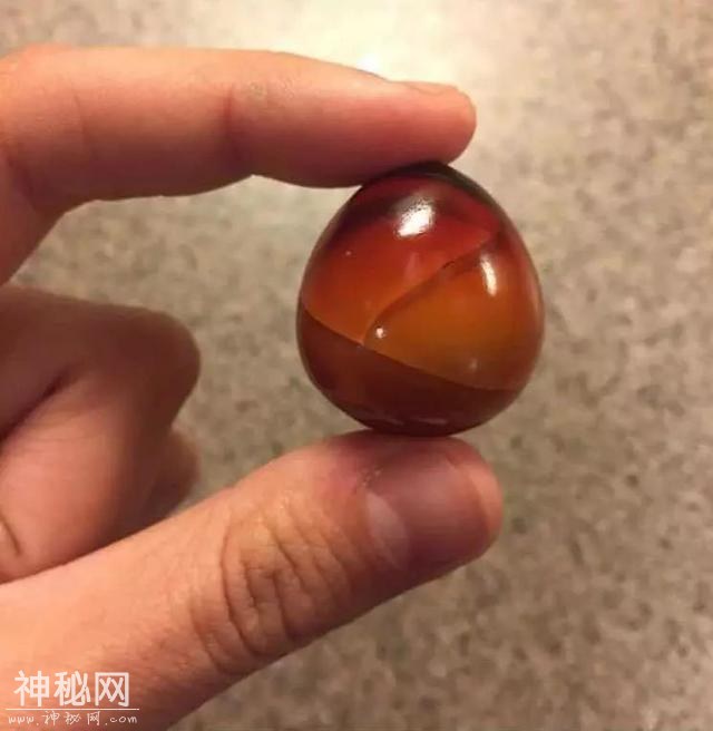 23张不可思议的照片，竟然不是PS的！-12.jpg