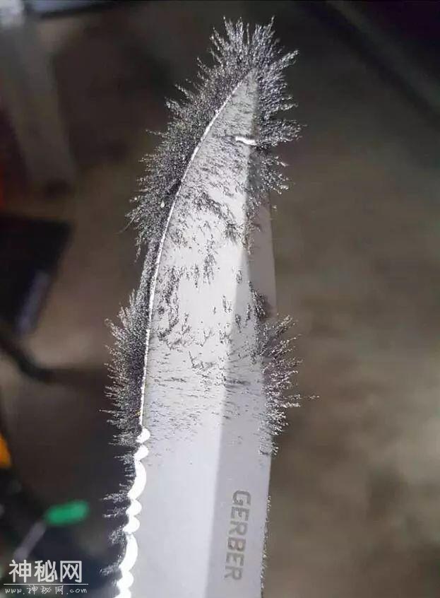 23张不可思议的照片，竟然不是PS的！-18.jpg