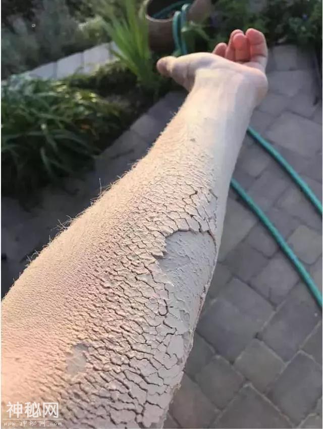 23张不可思议的照片，竟然不是PS的！-15.jpg