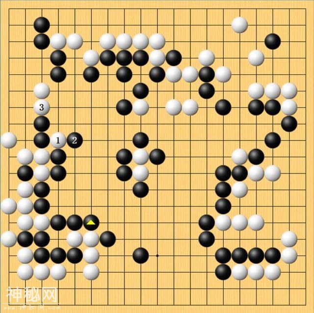 星阵围棋“奉饶天下先” 谁言科技不人文？-13.jpg