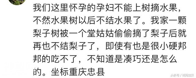 孕妇摘过的果树第二年会绝收！细说那些怀孕后才知道的奇葩风俗-4.jpg