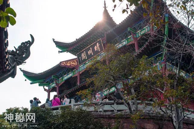 发现大武汉-6.jpg
