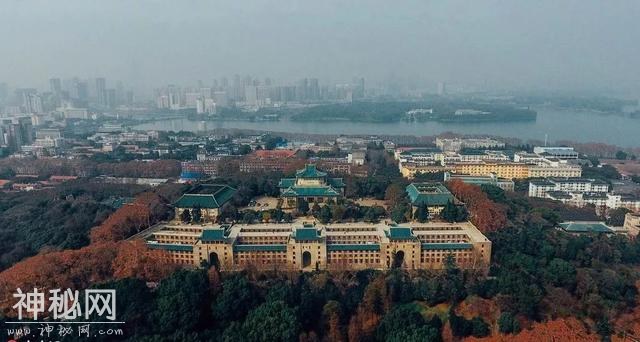 发现大武汉-33.jpg