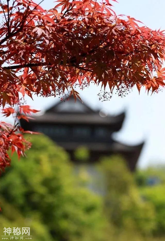 发现大武汉-35.jpg