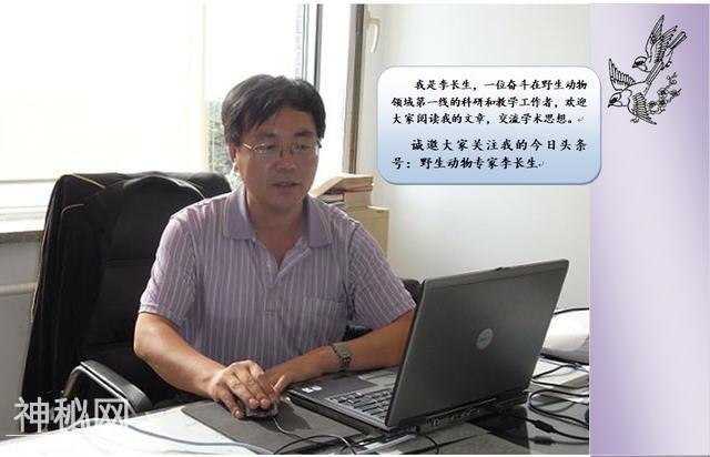 动物中活化石-9.jpg