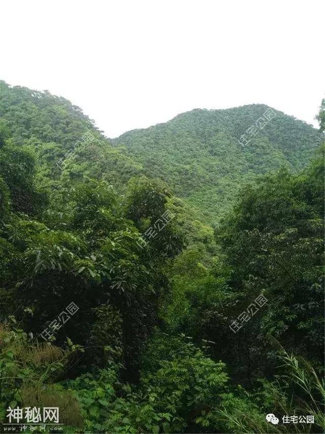 晒我的农村养老房，100万盖最美现代别墅，比城里住着舒服多了-4.jpg