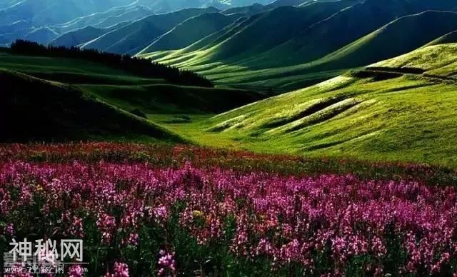 新疆世界级地质美景，美到令人窒息-8.jpg