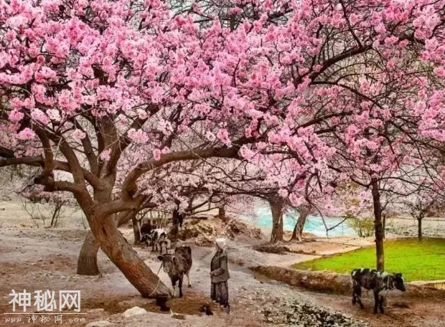 新疆世界级地质美景，美到令人窒息-19.jpg