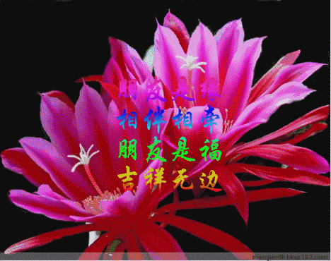 致朋友——愿所有的朋友身体健康，万事如意，幸福快乐一辈子！-8.jpg