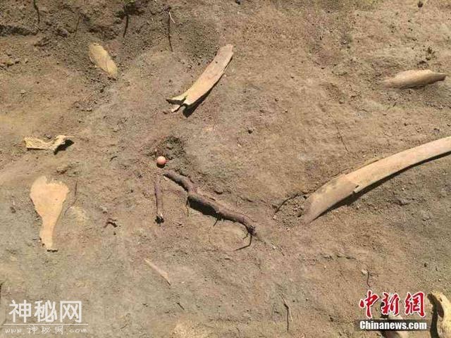 新疆吉木萨尔县北庭故城遗址考古发掘发现唐代文物-4.jpg