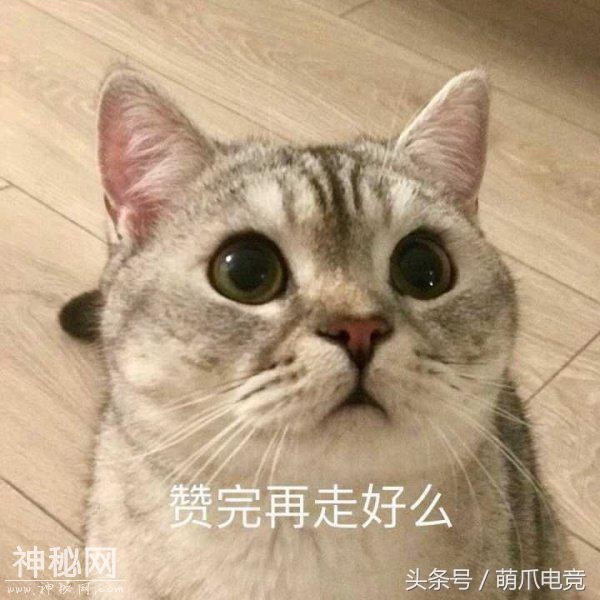 什么？削弱前的宇宙牧，暴雪认为可能是炉石有史以来的最强卡组？-4.jpg