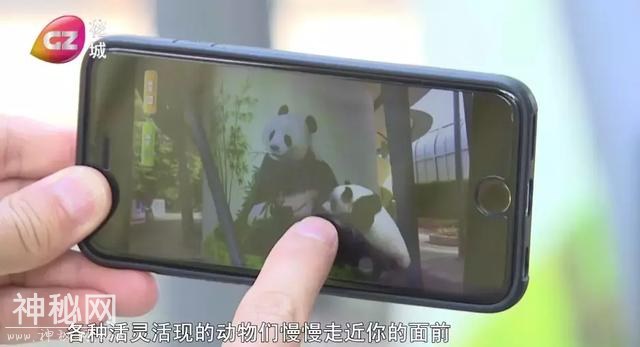 “哇！恐龙啊～” 全球第一个VR动物园竟然就在广州！-8.jpg