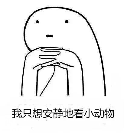 “哇！恐龙啊～” 全球第一个VR动物园竟然就在广州！-4.jpg