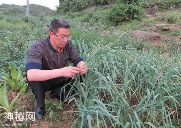 今天，为中国科学家点赞！-17.jpg