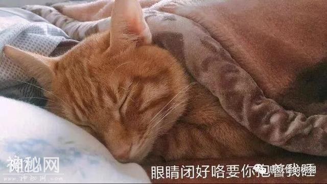 为什么我还没有男朋友-6.jpg
