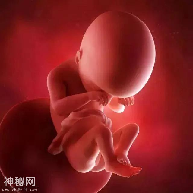 桂北民俗：十月怀胎禁忌歌-1.jpg