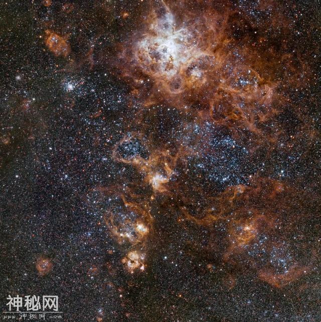 所幸这个宇宙的喧嚣和繁华，皆在别处-1.jpg