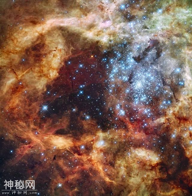 所幸这个宇宙的喧嚣和繁华，皆在别处-4.jpg