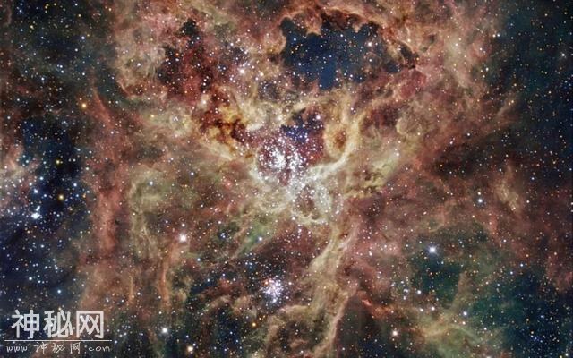 所幸这个宇宙的喧嚣和繁华，皆在别处-3.jpg