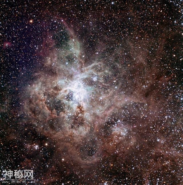 所幸这个宇宙的喧嚣和繁华，皆在别处-2.jpg