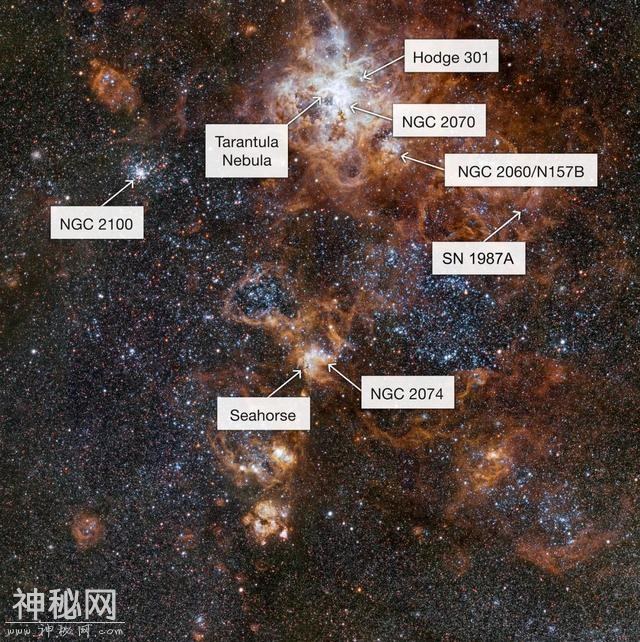 所幸这个宇宙的喧嚣和繁华，皆在别处-10.jpg