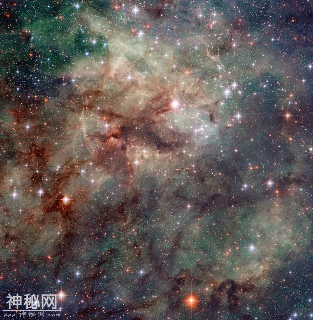 所幸这个宇宙的喧嚣和繁华，皆在别处-6.jpg