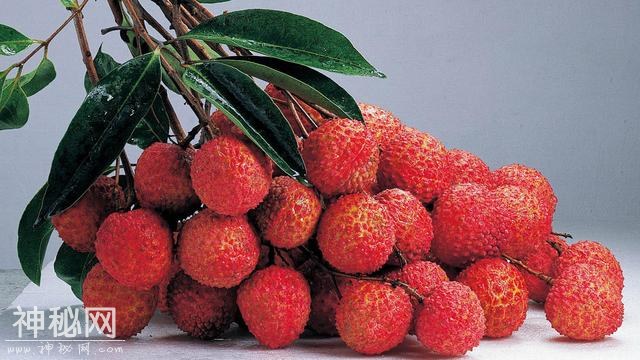 新鲜的荔枝怎么挑？记住这几点，保证新鲜！-2.jpg