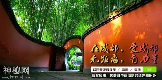 成都地下从来不乏宝贝！细扒新世纪震惊国内的6大考古新发现（多图）-26.jpg