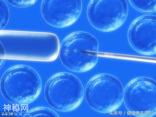 保存脐带血自救白血病？那让专家来为你解密关于脐带血储存这些事-1.jpg
