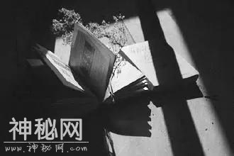 毒鸡汤也能治愈人-2.jpg