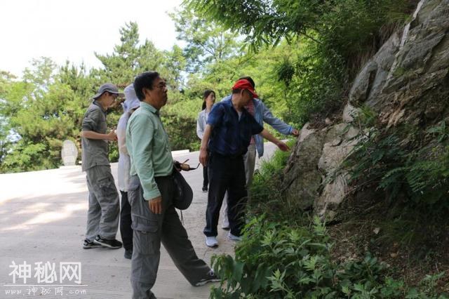 地质专家来沂蒙山地质公园指导世界地质公园创建工作-2.jpg