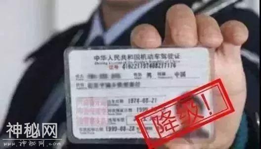 AB、C证扣12分都有什么后果？该怎么处理？附详细交通违法记分表-1.jpg