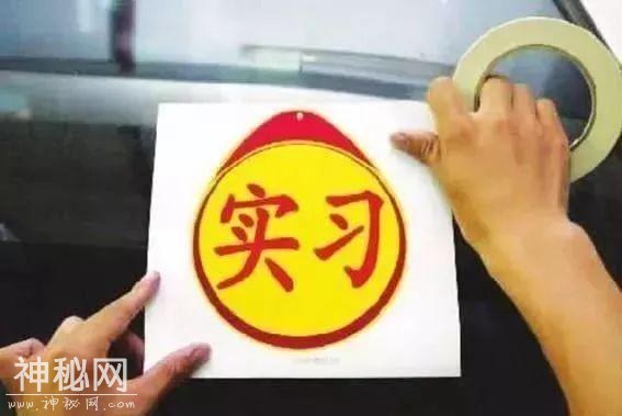 AB、C证扣12分都有什么后果？该怎么处理？附详细交通违法记分表-2.jpg