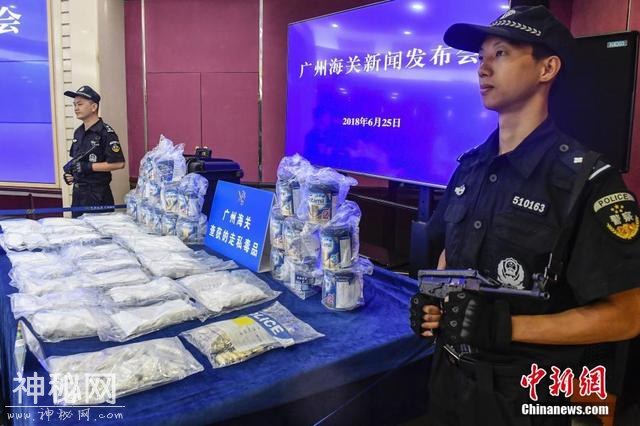 广州海关查获人体藏匿走私毒品案-3.jpg