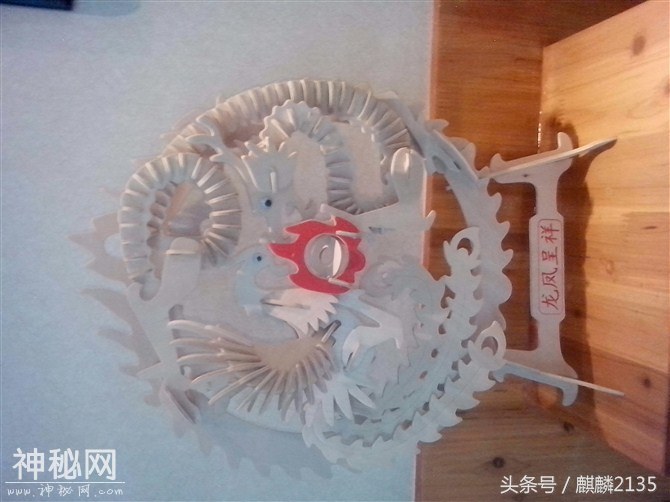 奇妙的生物-1.jpg