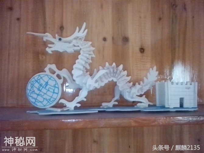奇妙的生物-2.jpg