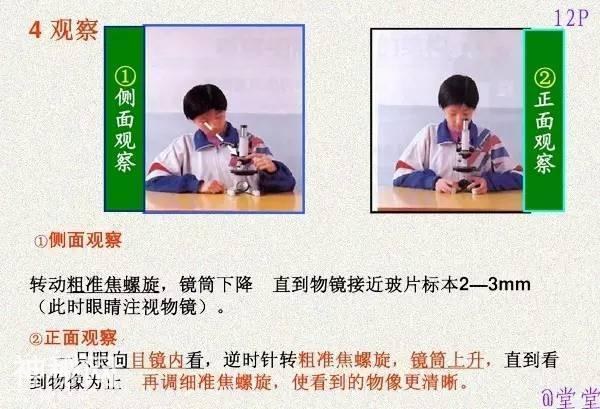 干货！初中生物重难点知识汇总，3年就这一份核心，次次稳拿100！-14.jpg