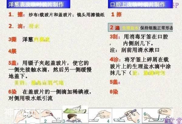 干货！初中生物重难点知识汇总，3年就这一份核心，次次稳拿100！-17.jpg