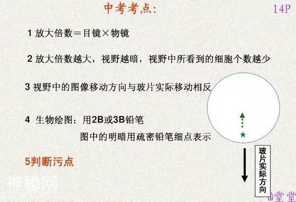 干货！初中生物重难点知识汇总，3年就这一份核心，次次稳拿100！-16.jpg