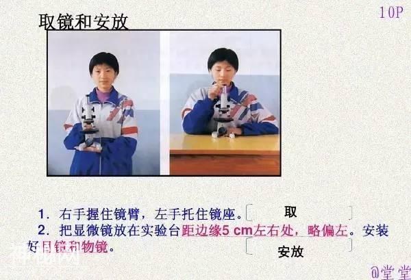 干货！初中生物重难点知识汇总，3年就这一份核心，次次稳拿100！-12.jpg
